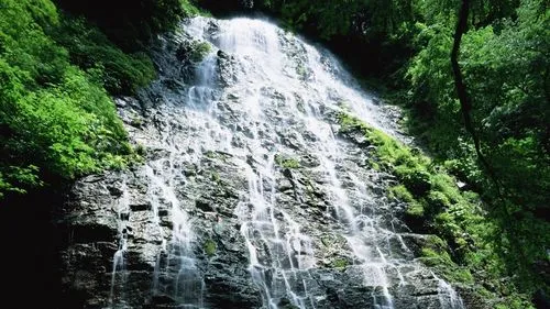 高精度绿色
